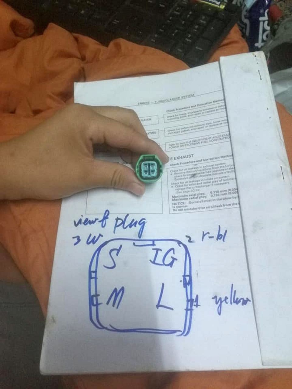 81.jpg